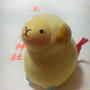 ＊大吉ちゃん◎＊