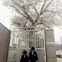 次男入園式とお祝いご飯など