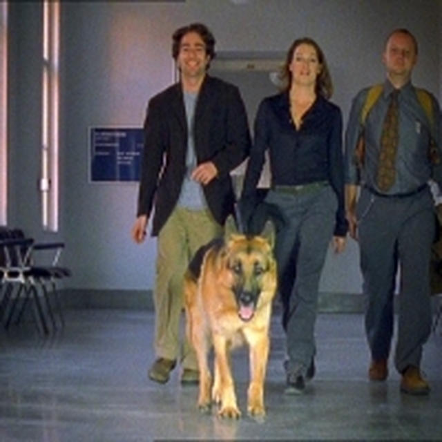★『REX～ウィーン警察シェパード犬刑事』シリーズ7