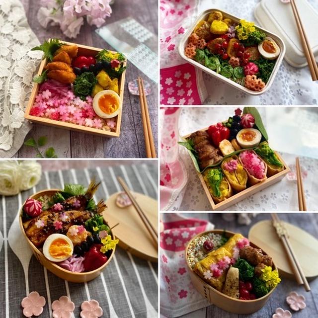 お花見弁当〜先週のお弁当のお弁当のふり返り