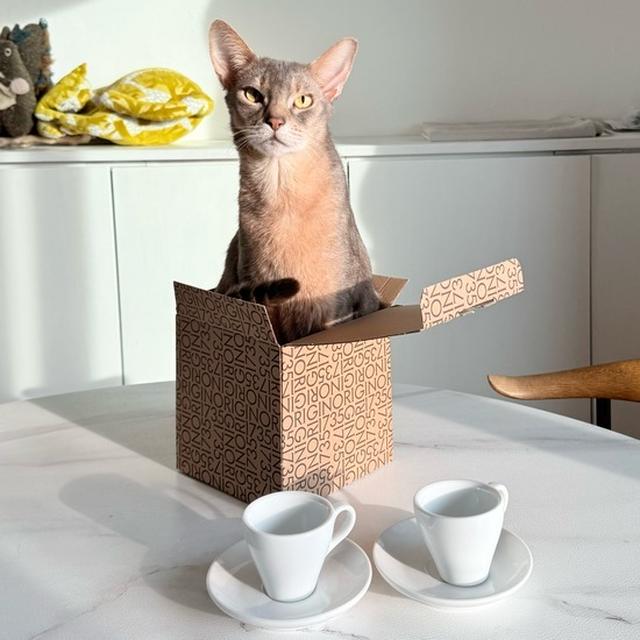 グランベリーパーク町田で超お買い得だったカップと小さな箱を攻めるベテラン箱入り師
