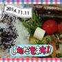 11/11 お弁当