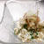 簡単！豆腐と枝豆の白和え【#豆腐#簡単#枝豆#白和え#レシピ】