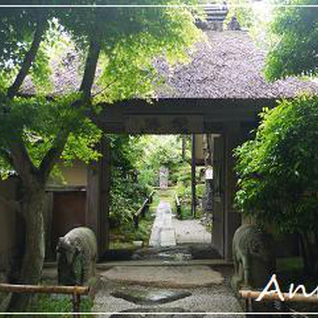☆2011 梅雨の京都③：野仏庵 その1☆