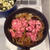 ランチです「杏ちゃんと牛丼ランチ。」