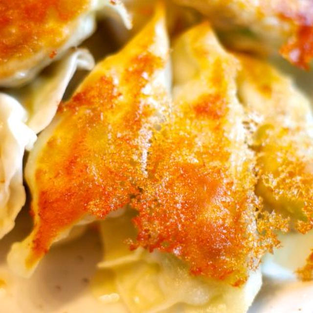 春キャベツ餃子が美味しすぎるのでまた作った（今月5回目）