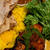 Dhaba India