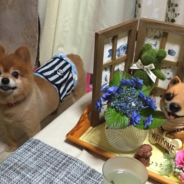 美味しくて忘れられない味を求めて