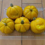和菓子教室　その２