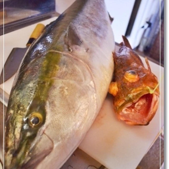 旦那様の釣果と美味しいおうちごはん