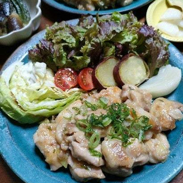 またまた手作り塩麹で作ってみた！鶏肉のネギ塩麹炒め