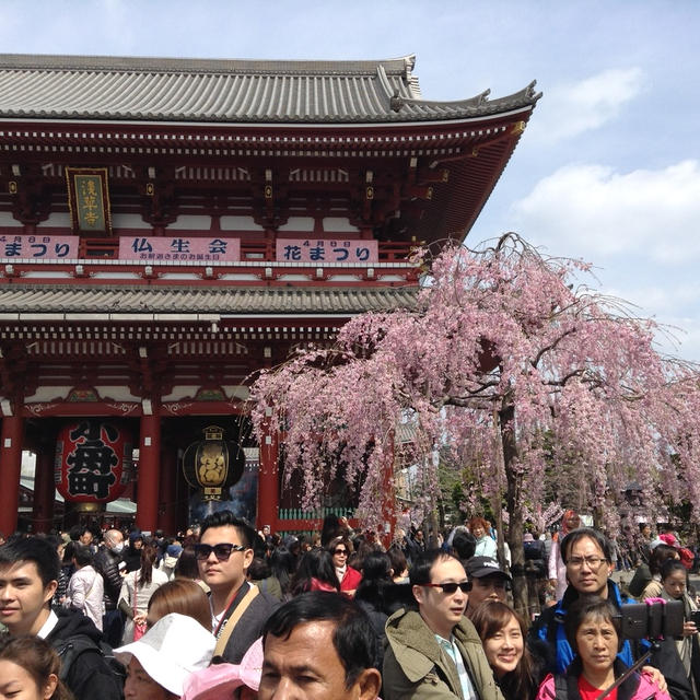 日本での美味しい話　第二話