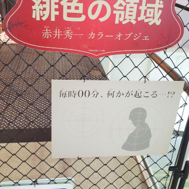 緋色の領域