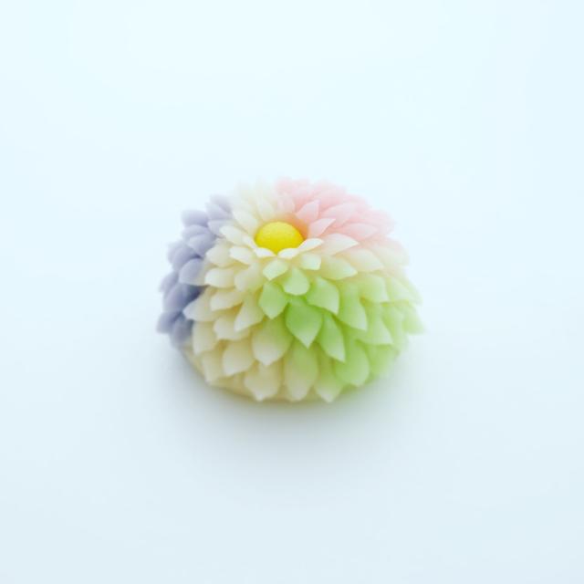 菊のねりきり