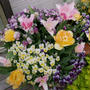 チューリップとビオラの寄せ植え#最近撮った写真は