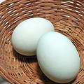 青の卵でプリンを作ってみました！I bought a blue shell eggs!