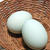 青の卵でプリンを作ってみました！I bought a blue shell eggs!