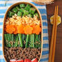 作り置きで朝乗せるだけ♪お花畑風そぼろのっけ丼弁当