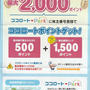本日の優待案内　ロート製薬　実質2,000円