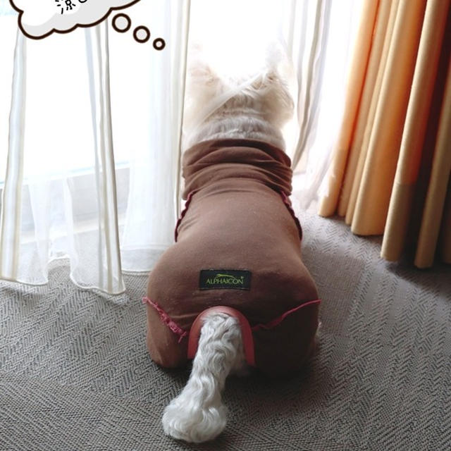 それぞれの後ろ姿が訴えるもの。　