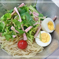 【スパイス大使♡花椒塩:冷やし中華で韓国冷麺スタイル】