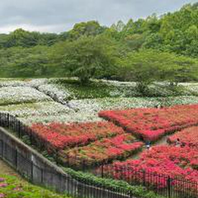 厚木つつじの丘公園
