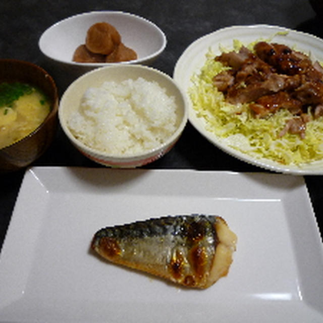 チキンの照り焼きとサバ塩焼き