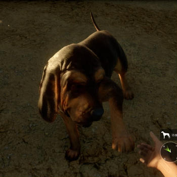 【theHunter:Call of the Wild】猟犬が登場したよ！