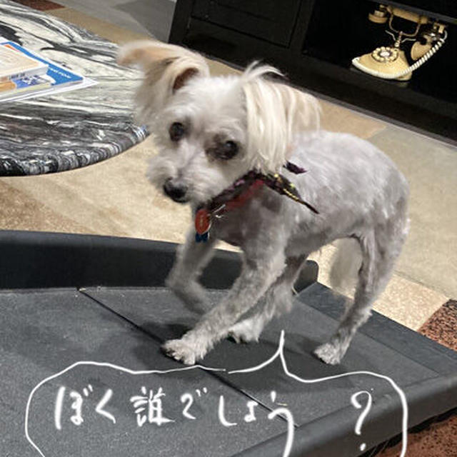 ブログのことで姉から説教