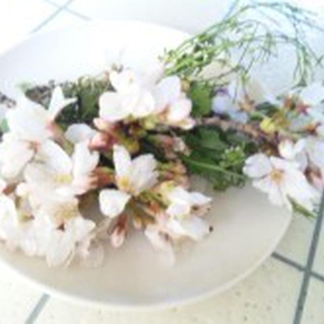 春♪真剣vs深刻