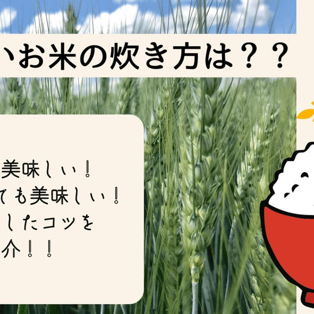 美味しいお米の炊き方！弁当にいれても美味しいご飯を炊こう！