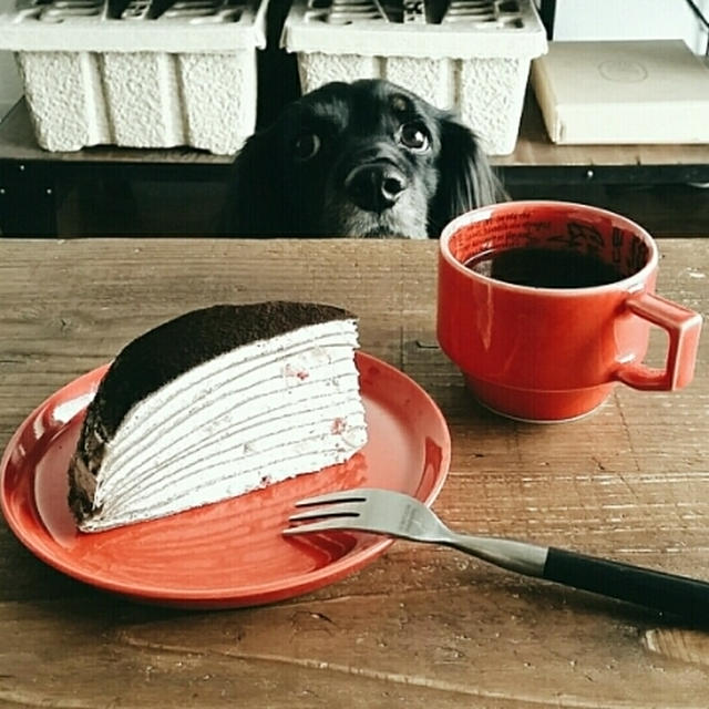 ミルクレープとマカロニとコーヒー。