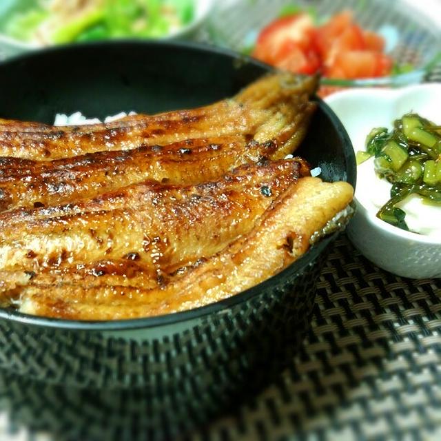 鰻