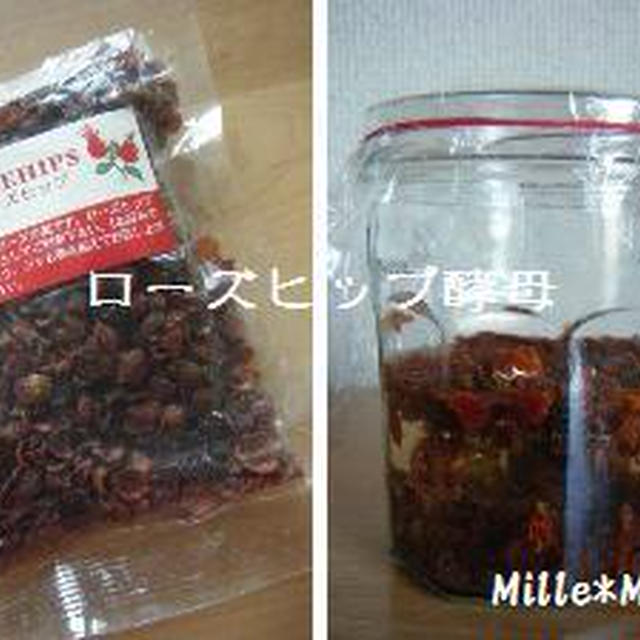 2011初★酵母便り♪５連チャン？