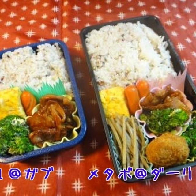 ５月１０日　豚肉弁当　～　メタボダーリン　＆　男子高校生弁当♪