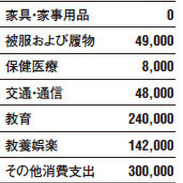 メタボ家計簿ダイエット講座/生活費月50万円でも足りなくなる超セレブな家族