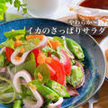 初夏に食べたい簡単イカのさっぱりサラダ