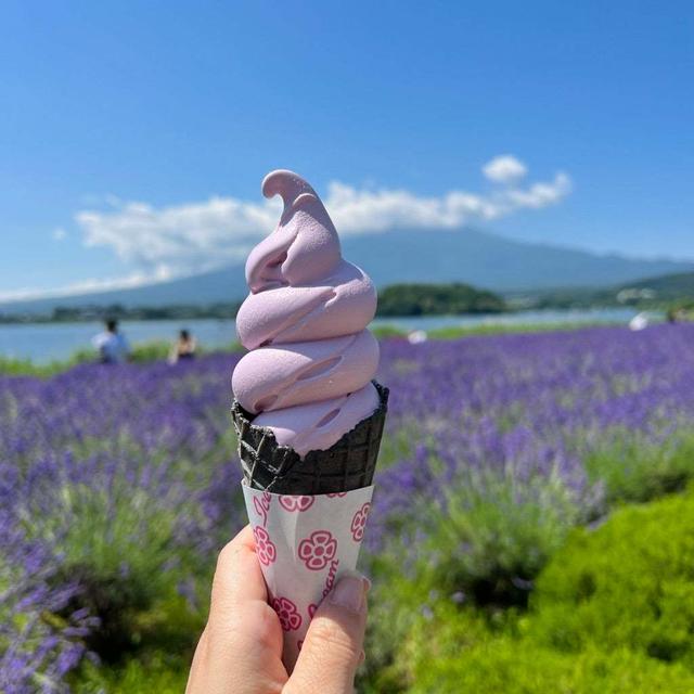 ラベンダー畑へ。