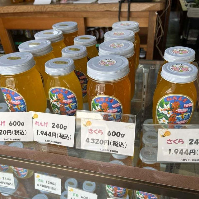 食材探し