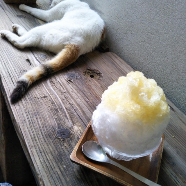 かき氷☆ネコとかき氷〜代官山ウララ