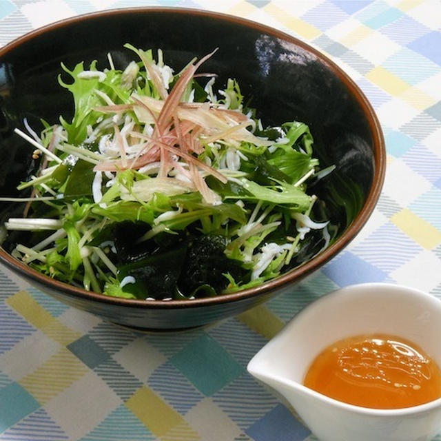 居酒屋女子の好きなおつまみ、香味野菜で爽やか＆ヘルシー！ワカメとしらすのサラダ。