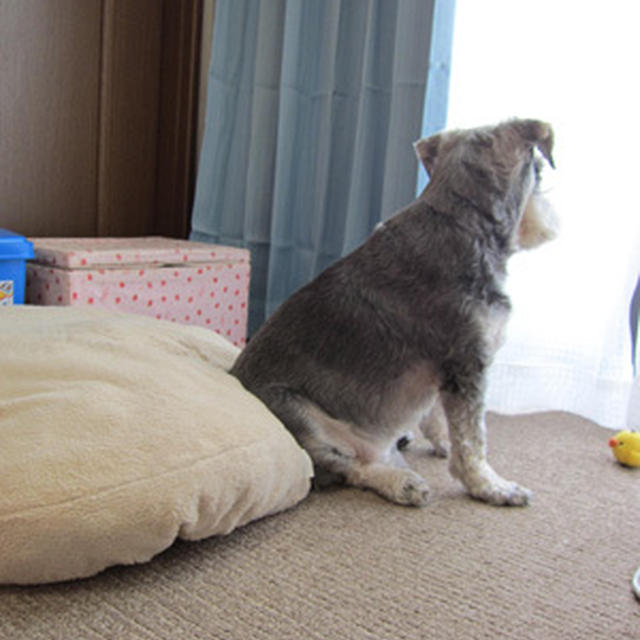 ちょっとだけ座る