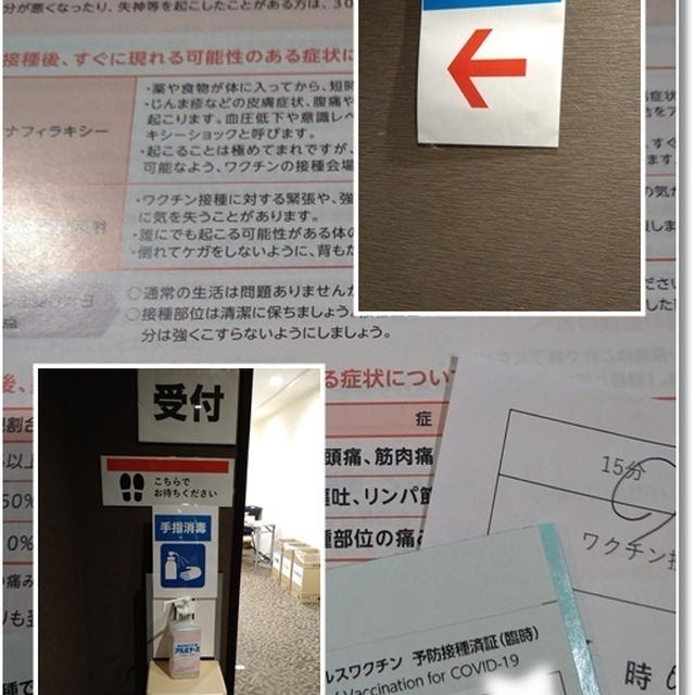 【コロナ】私がモデルナを選択した理由。。。ワクチン１回目の様子と姫のお姉さんパンツ