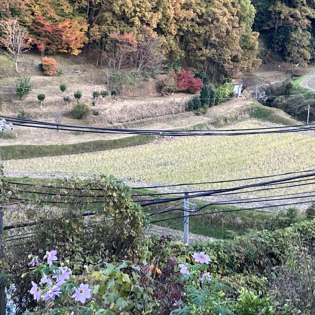 亡き母、亡き夫の