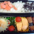今日のお弁当、ピーマンとベーコン炒めとか冷凍のグラタンとか♪