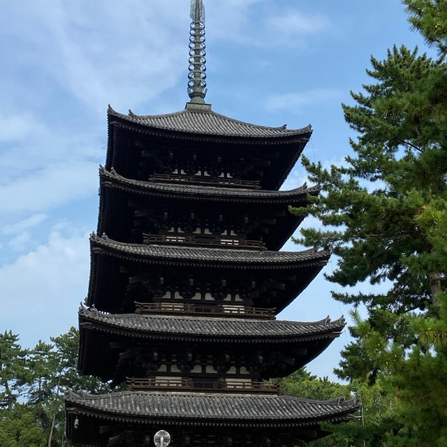 奈良でカキ氷と興福寺♪