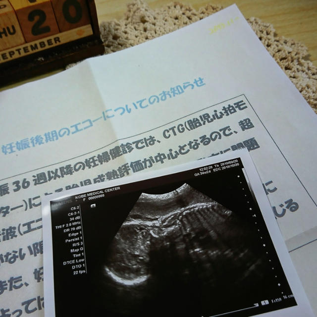 【○。たっちん竹馬マスター！。○&◎妊婦健診記録(34w2d)◎】