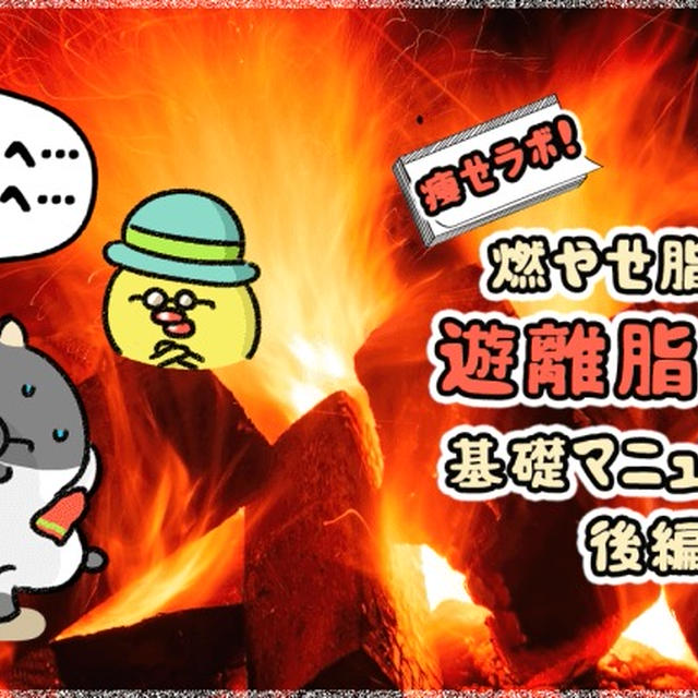 痩せラボ！燃やせ脂肪！遊離脂肪酸基礎マニュアル！（後編）