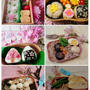 今週のお弁当のまとめ6選(3/10～14)   #平日お昼ご飯はお弁当or外食