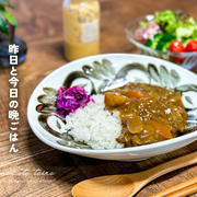 昨日と今日の晩ごはんと、おべんとう